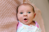 Kids + Babies